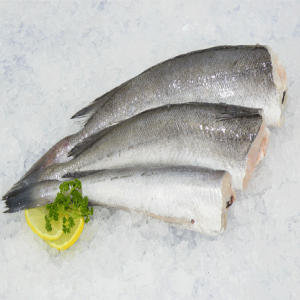 FISH BABY HAKE