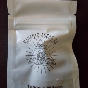 DC NANA BAG