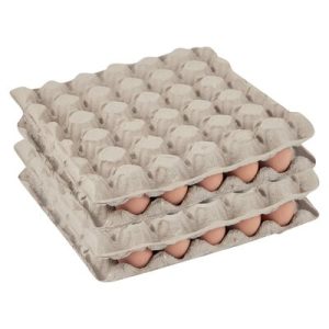 EGGS AZARIA LARGE