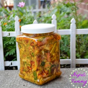 JUST ACHAR VEG