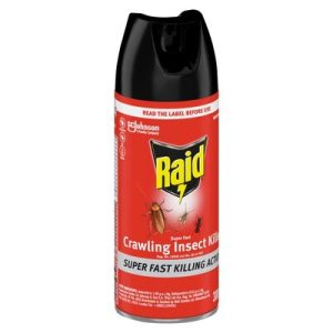 RAID C/INSECT KILLER