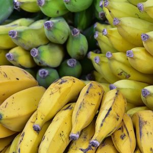 AFRICAN BANANA