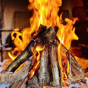 WOOD FIRE