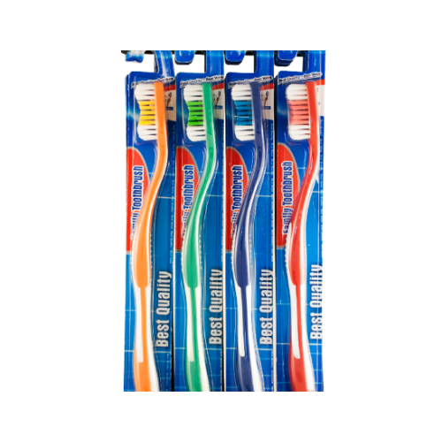 T/BRUSH 123 BUDGET