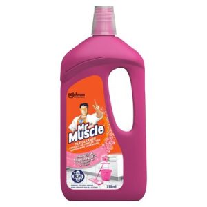 MR MUSCLE W/S POTPOURRI