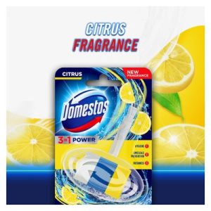 DOMESTOS RIM BLOCK LEMON