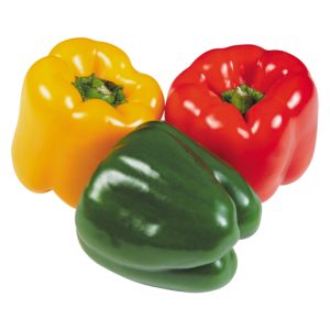 FV PEPPERS ROBOT