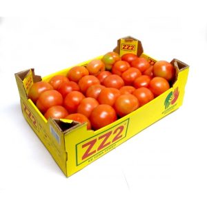FV TOMATO BOX 6KG