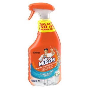 MR MUSCLE W/WASH FRESH